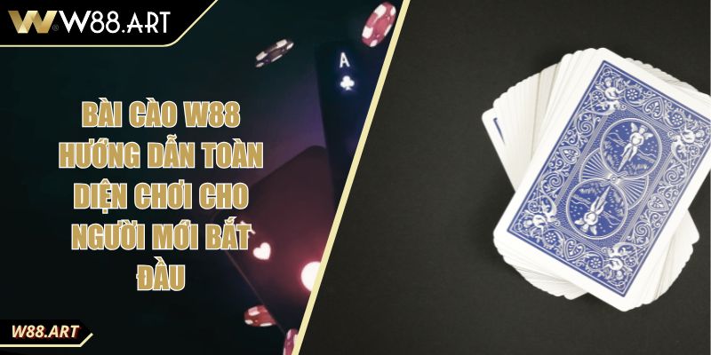 Bài Cào W88 Hướng Dẫn Toàn Diện Chơi Cho Người Mới Bắt Đầu 7 Bài Cào W88 Hướng Dẫn Toàn Diện Chơi Cho Người Mới Bắt Đầu