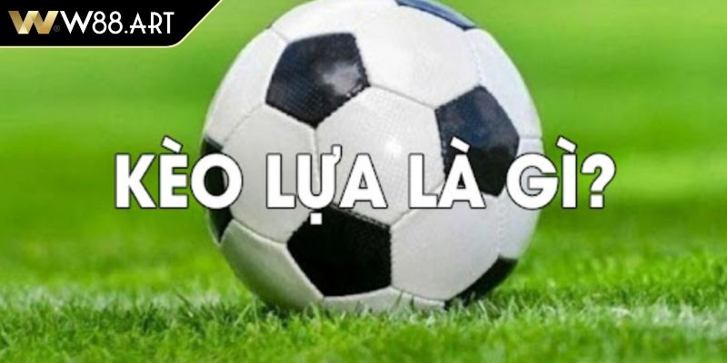 Sơ lược vài nét về kèo lựa W88