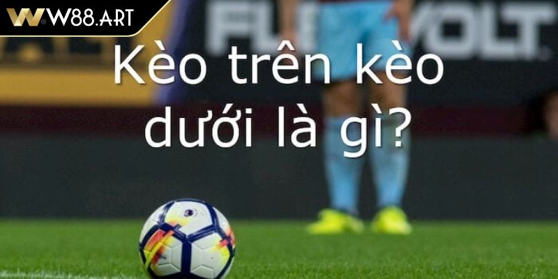 Kèo Trên Dưới W88 Hướng Dẫn Cách Soi Kèo Và Cược Hiệu Quả 2 Đôi nét cơ bản về kèo trên dưới W88