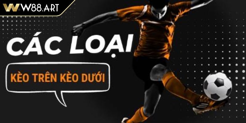 Kèo Trên Dưới W88 Hướng Dẫn Cách Soi Kèo Và Cược Hiệu Quả 4 Nhìn thấu bảng tỷ lệ kèo trên dưới W88